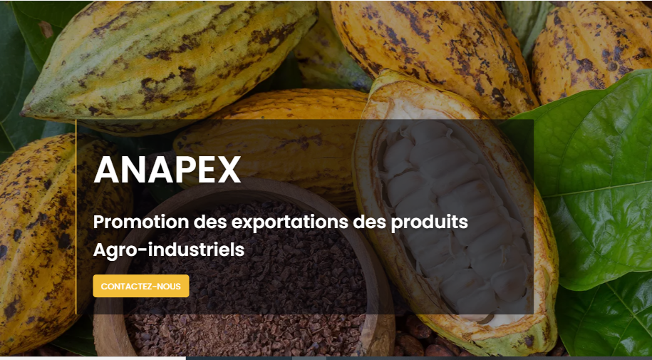 RDC : Le Ministre du Commerce Extérieur présente une plateforme digitale destinée à booster les exportations en mettant en valeur des produits “made in Congo”.